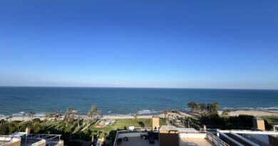 Marina d‘or (Foto: Joven Scholte Aalbes)