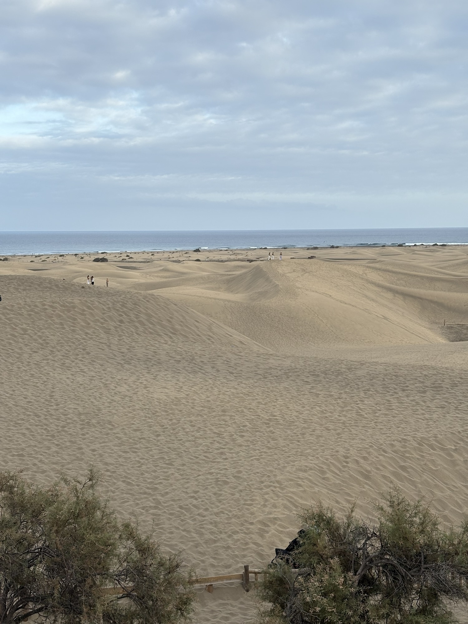 Die Dünen von Maspalomas sind eines der Wahrzeichen von Gran Canaria (Foto: Jo Reule)