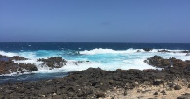 Das Vulkangestein zeigt sich auch an vielen Küstenabschnitten der Inselgruppe. (Foto: Jo Reule)