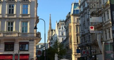 Die schöne Stadt Wien mit ihren Bauten und einer Kirche im Hintergrund.